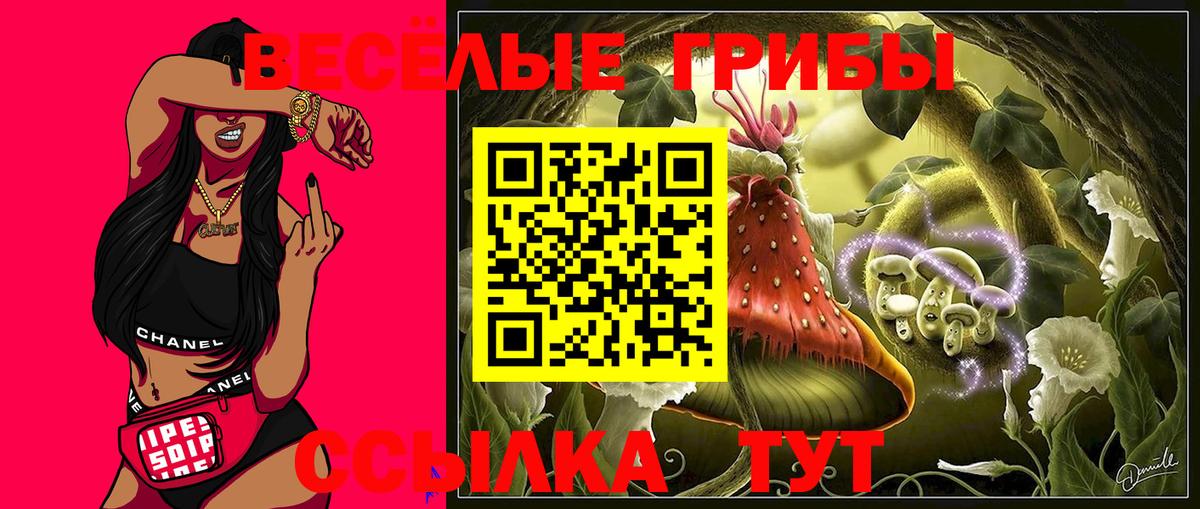 Россия  Псилоцибиновые грибы Psilocybine cubensis  Вход с VPN 